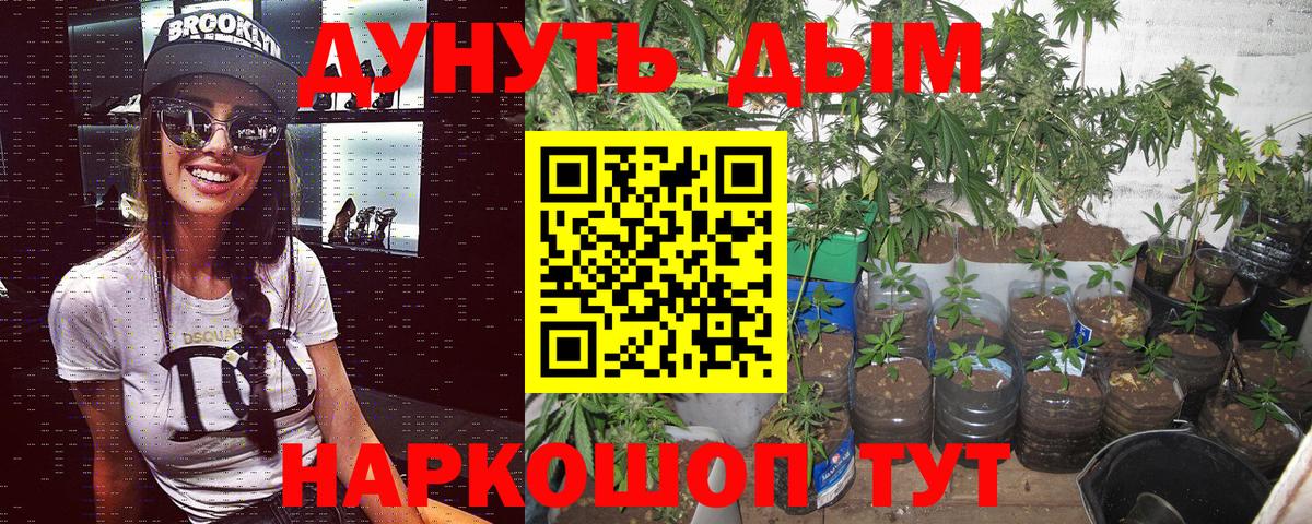 Канабис семена  Вход с VPN  Бошки Шишки гибрид  Бузулук  Шишки марихуана план 